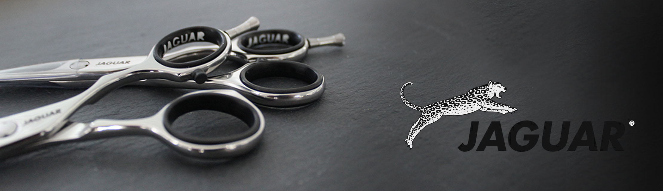 Jaguar Solingen Jaguar Solingen
